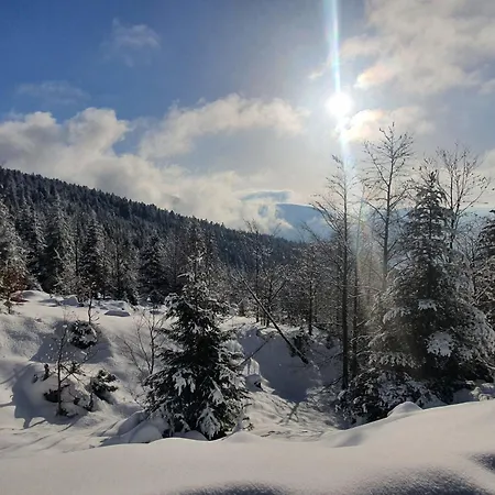 Location Vosges Chez Severine Chalet