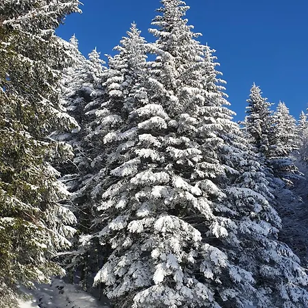 Location Vosges Chez Severine Ventron
