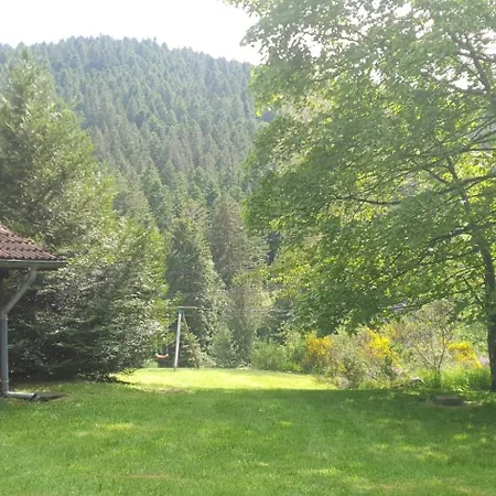 Location Vosges Chez Severine Chalet Ventron